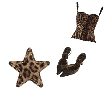 Leopard print clothing pieces