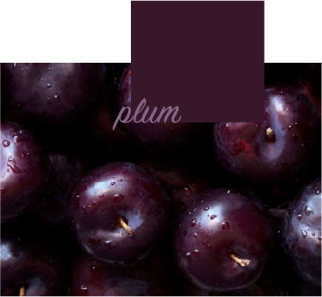Dark plums with a plum colour swatch