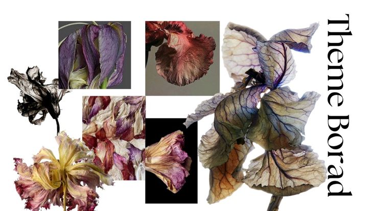 Dried iris theme board